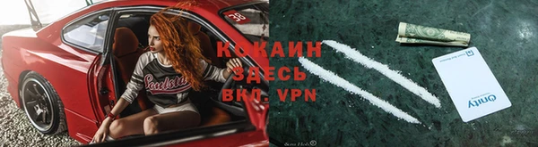 твердый Нефтегорск