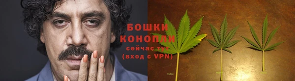 ГАЛЛЮЦИНОГЕННЫЕ ГРИБЫ Нея