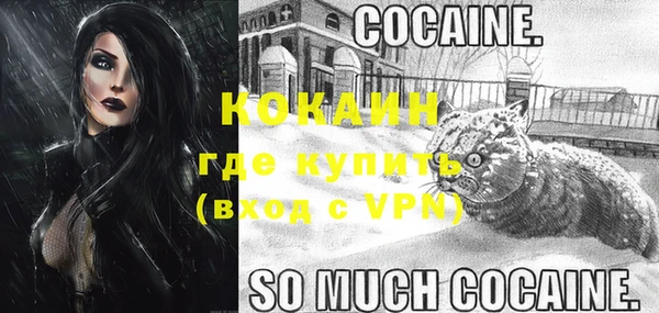 ГАЛЛЮЦИНОГЕННЫЕ ГРИБЫ Нея